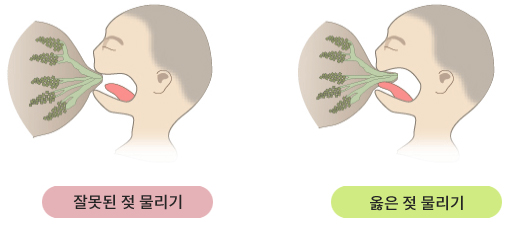 잘못된 젖 물리기, 옳은 젖 물리기